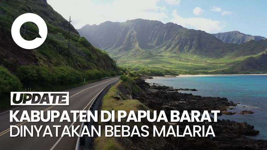 Video: Wanti-wanti Kemenkes ke Provinsi yang Dinyatakan Bebas Malaria