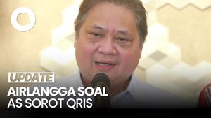 Video Airlangga soal AS Soroti QRIS: RI Terbuka untuk Mastercard atau Visa