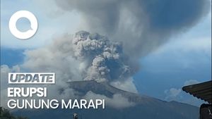 Video: Gunung Marapi Erupsi Sore Ini, Lontarkan Abu Setinggi 800 Meter