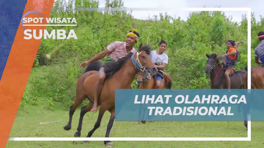 Menyaksikan Olahraga Tradisional Pasola yang Mendebarkan di Sumba