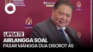 Video: Kata Airlangga soal AS Soroti Barang Bajakan di Pasar Mangga Dua 
