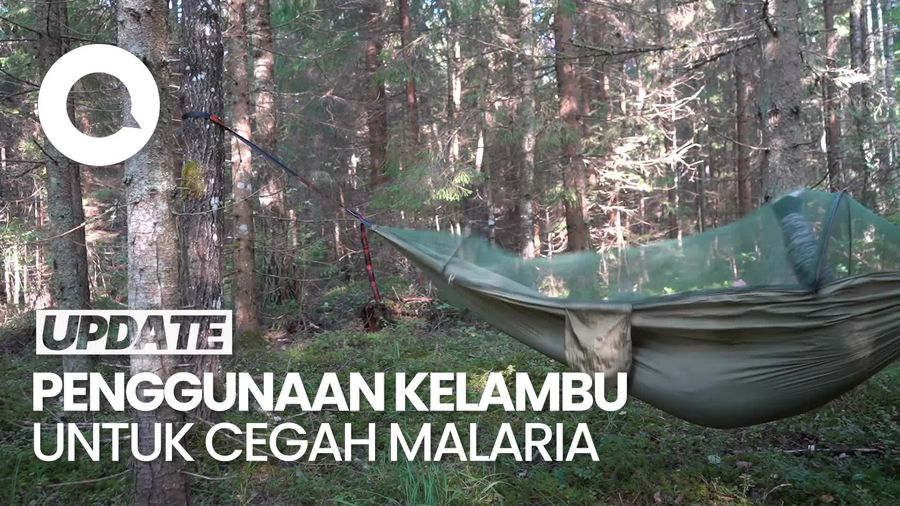 Video Kemenkes Sebut Kelambu Berinsektisida Efektif Turunkan 80% Kasus Malaria
