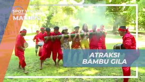 Menyaksikan Atraksi Kesenian Bambu Gila di Ambon, Maluku