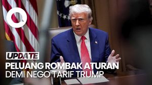 Video: Pemerintah Buka Peluang Ubah Aturan Demi Negosiasi Tarif Trump