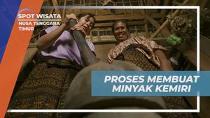 Belajar Proses Pembuatan Minyak Kemiri yang Bermanfaat di Nusa Tenggara Timur