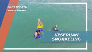 Mengalami Keseruan Snorkeling yang Mengasyikkan di Pangandaran