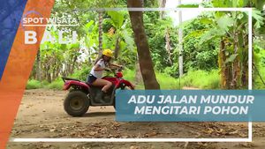 Mengadakan Lomba Seru Mengitari Pohon dengan ATV di Ubud, Bali