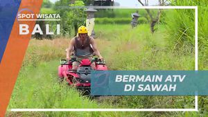 Menghadapi Tantangan Medan ATV yang Seru di Sawah Ubud, Bali