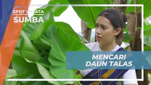 Melintasi Jalanan Menantang untuk Mencari Daun Talas di Prai Ijing, Sumba