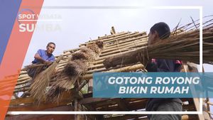 Bergotong Royong Membangun Rumah Tradisional di Prai Ijing, Sumba
