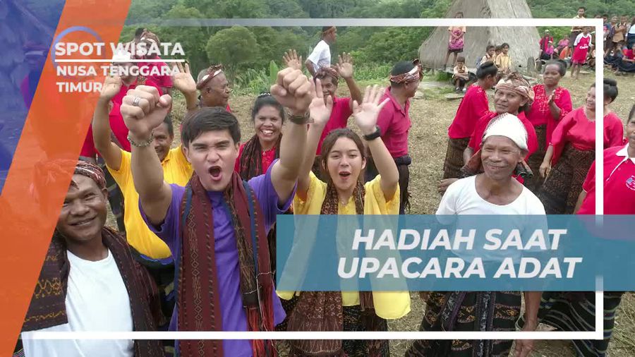Kejutan Hadiah Saat Upacara Adat di Nusa Tenggara Timur