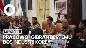 Video Prabowo-Gibran Terima Kunjungan Bos-bos Industri Korea di Istana