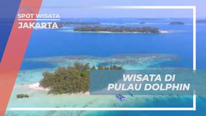 Menikmati Pesona Pulau Dolphin di Kepulauan Seribu Jakarta