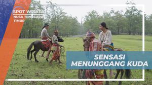 Nikmati Sensasi Menunggang Kuda di Nusa Tenggara Timur