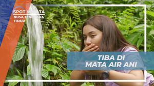 Temukan Kesegaran di Mata Air Ani di Nusa Tenggara Timur