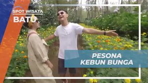 Pesona Kebun Bunga yang Menawan di Batu