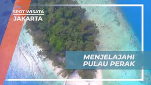 Menjelajahi Pesona Pulau Perak di Kepulauan Seribu Jakarta