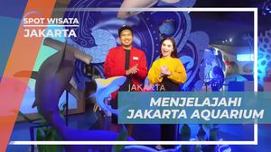 Jelajahi Keindahan Jakarta Aquarium di Jakarta