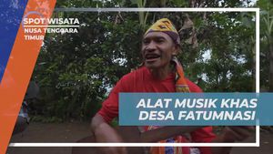 Kenali Alat Musik Biola Khas Desa Fatumnasi di Nusa Tenggara Timur