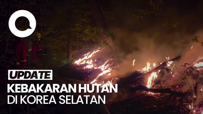 Video: Korsel Kembali Dilanda Kebakaran Hutan