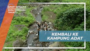 Kembali ke Kampung Adat dengan Air Bersih di Nusa Tenggara Timur