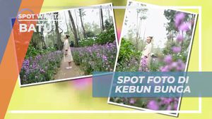 Abadikan Momen Indah di Kebun Bunga Pagupon Batu