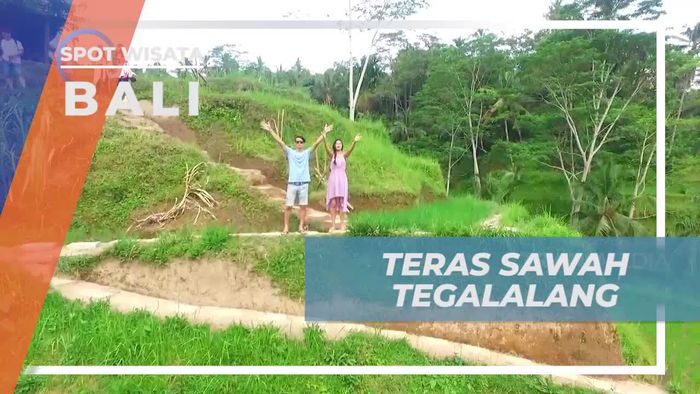Menikmati Panorama Indah di Teras Sawah Tegalalang, Bali