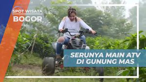 Berkendara ATV Menyusuri Kebun Teh Gunung Mas, Bogor