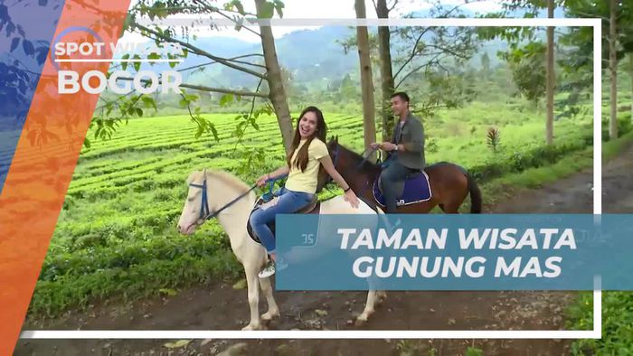 Menikmati Keindahan Alam di Taman Wisata Gunung Mas, Bogor