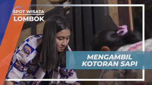 Mengambil Kotoran Sapi untuk Menciptakan Kenyamanan di Rumah Desa Sade, Lombok