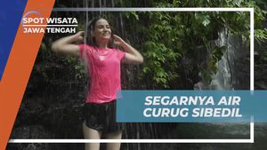 Menyegarkan Diri di Air Curug Sibedil, Jawa Tengah
