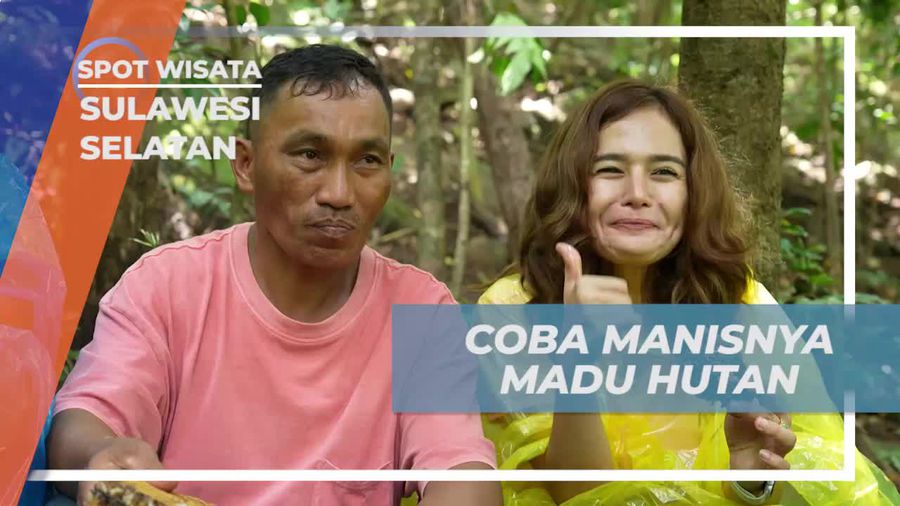 Cicipi Manisnya Madu Hutan yang Dipanen di Bonto Manurung, Sulawesi Selatan