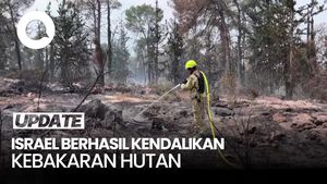 Video Israel Klaim Sukses Jinakkan Kebakaran Hutan