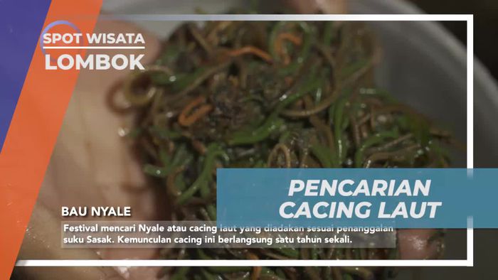 Bergembira Mencari Cacing Laut Bersama Warga Suku Sasak di Lombok