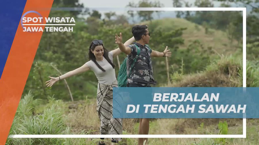 Menjelajahi Keindahan Sawah di Pagi Hari, Ciseureuh Jalawastu, Jawa Tengah