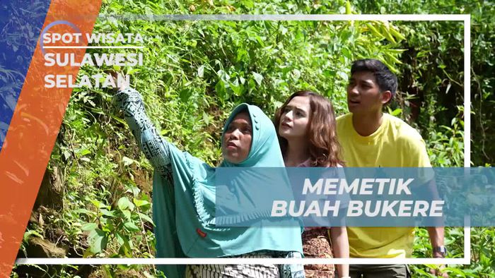 Ikut Berpetualang Memetik Buah Bukere di Hutan, Sulawesi Selatan