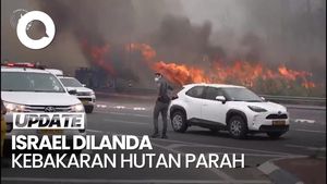 Video: Kebakaran Hutan Parah Melanda Israel, Netanyahu Umumkan Status Darurat