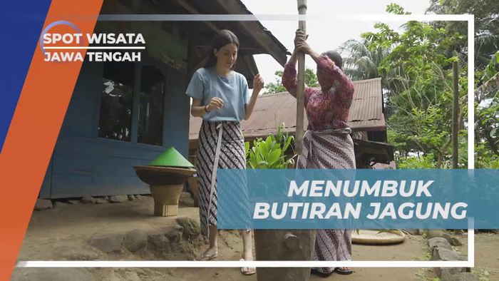 Menumbuk Butiran Jagung Hingga Halus di Ciseureuh Jalawastu, Jawa Tengah