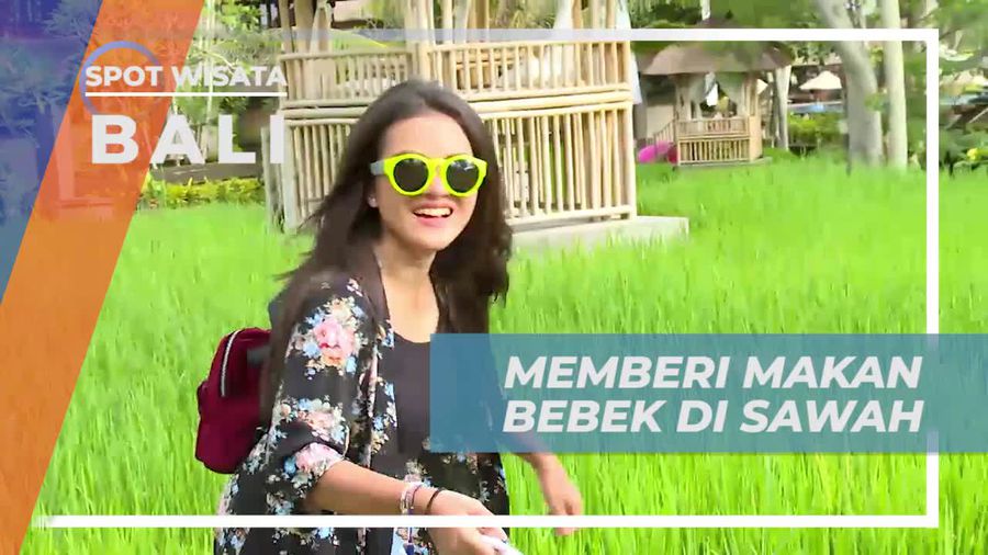 Memberi Makan Bebek di Sawah Asri Ubud, Bali