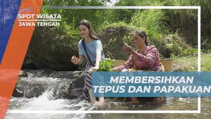Membersihkan Tepus dan Papakuan di Aliran Sungai Ciseureuh Jalawastu, Jawa Tengah