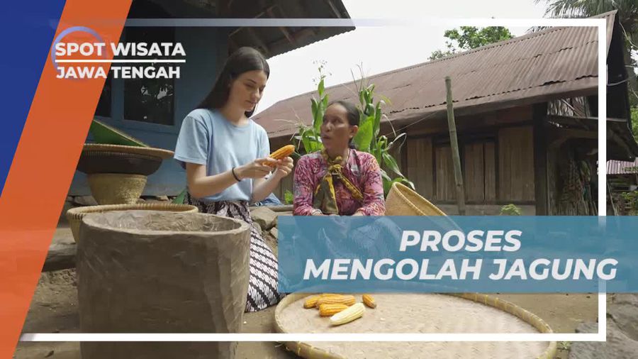 Mengolah Biji Jagung Menjadi Nasi Jagung di Ciseureuh Jalawastu, Jawa Tengah