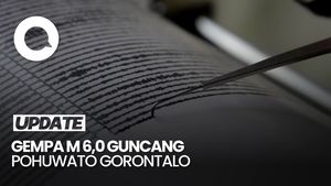 Video: Gempa Bumi M 6,0 Guncang Pohuwato Gorontalo, Tak Berpotensi Tsunami