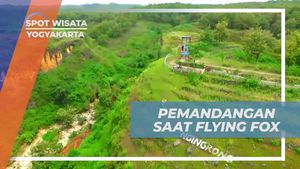 Menciptakan Kenangan saat Sensasi Terbang dengan Flying Fox di Yogyakarta