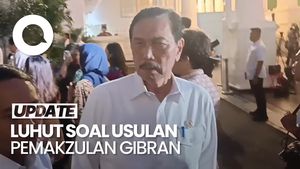 Video Luhut soal Usulan Pemakzulan Gibran: Ribut-ribut Begitu Kampungan
