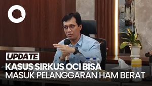 Video: KemenHAM Nilai Kasus Sirkus OCI Bisa Masuk Pelanggaran HAM Berat