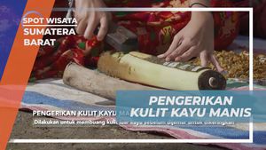 Mengolah Kulit Kayu Manis dengan Teknik Tradisional di Desa Sarugo, Sumatera Barat