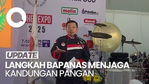 Video: Bapanas Ungkap Kandungan Formalin Banyak Ditemukan pada Ikan