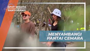 Foto-foto Seru di Pantai Cemara yang Menakjubkan di Banyuwangi