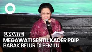 Video: Cerita Megawati soal PDIP Babak Belur di Pemilu 2024