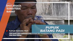 Kenali Pupuik Batang Padi, Alat Musik Tradisional Khas Desa Sarugo di Sumatera Barat